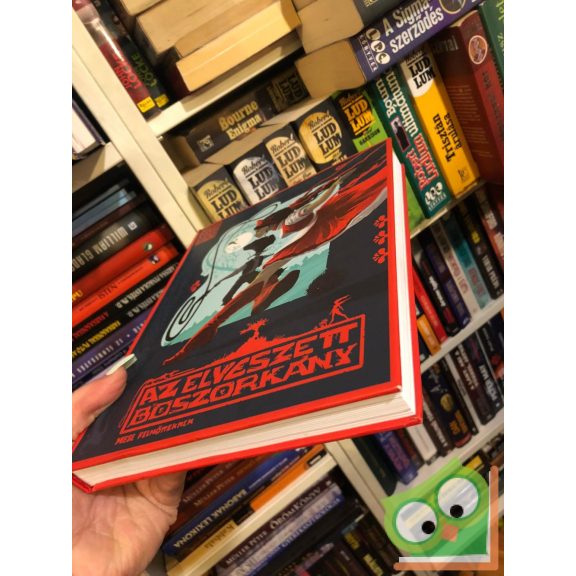 Tóth Gyula Gábor: Az elveszett boszorkány  (Mese felnőtteknek...)