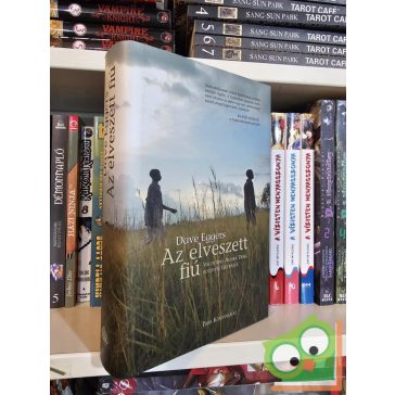 Dave Eggers: Az elveszett fiú 