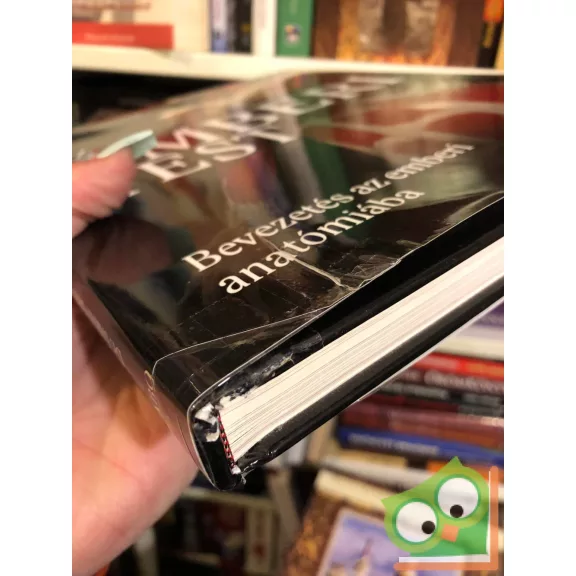 Sarah Brewer: Az emberi test - Bevezetés az emberi anatómiába