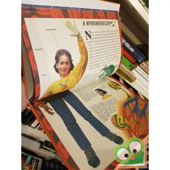 Steve Parker: Az emberi test enciklopédiája II.