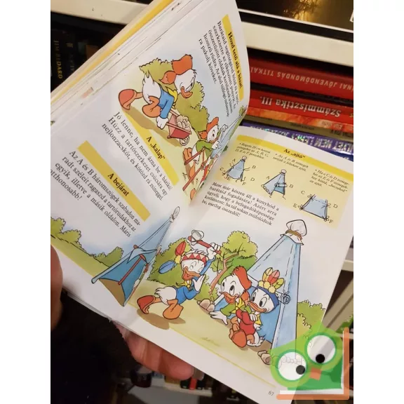 Walt Disney - Az ifjú csibészek kalandkönyve 2.