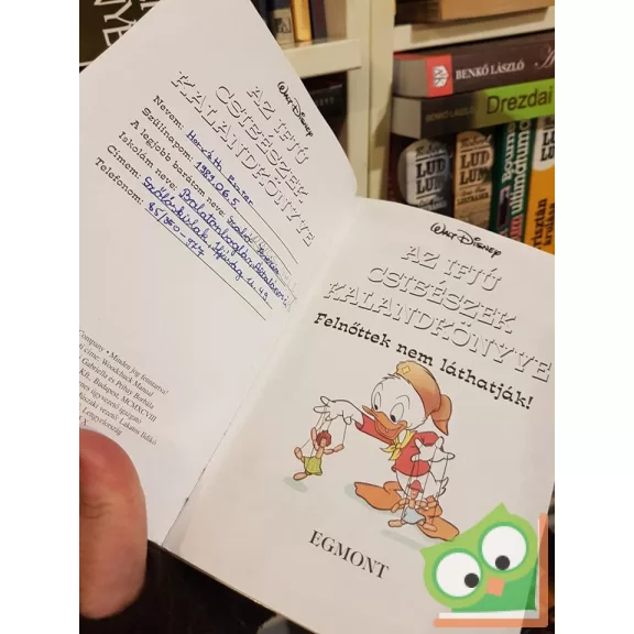 Walt Disney - Az ifjú csibészek kalandkönyve