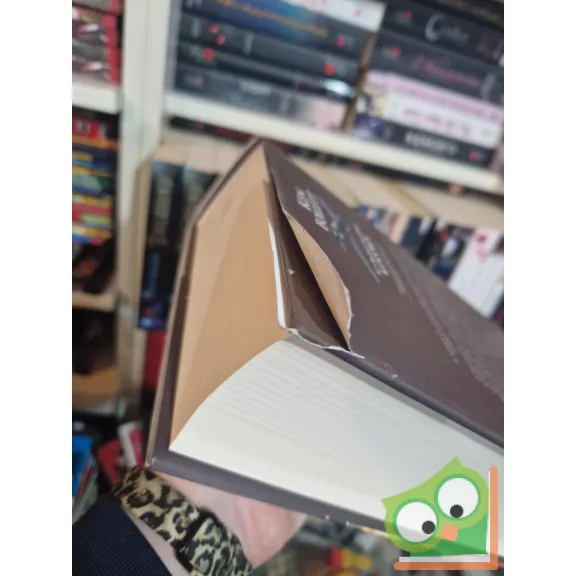 Ken Follett: Az örökkévalóság küszöbén  (Évszázad-trilógia 3.)