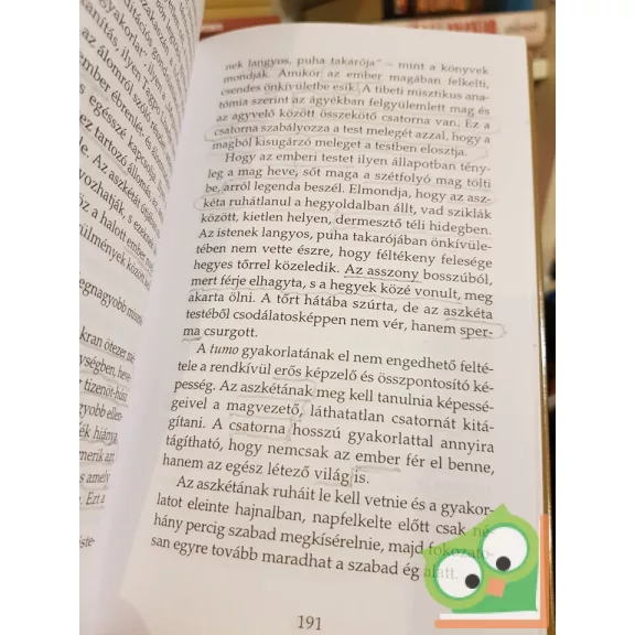 Hamvas Béla: Az ősök nagy csarnoka II.