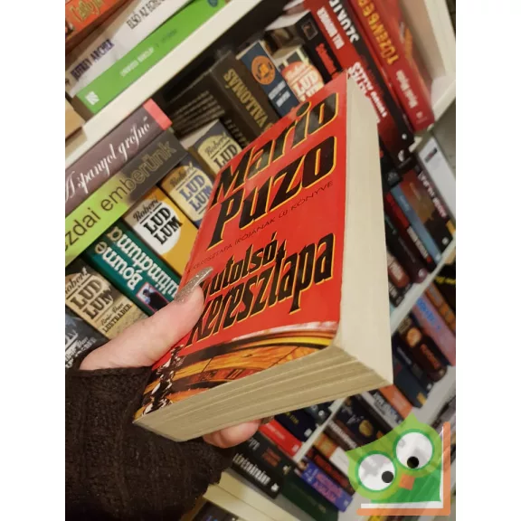 Mario Puzo: Az utolsó keresztapa