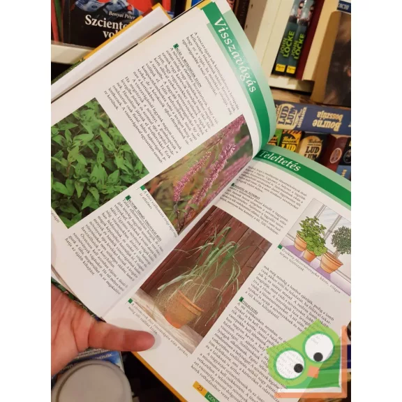 Dirk Mann: Ázsiai fűszernövények (Lépésről lépésre)