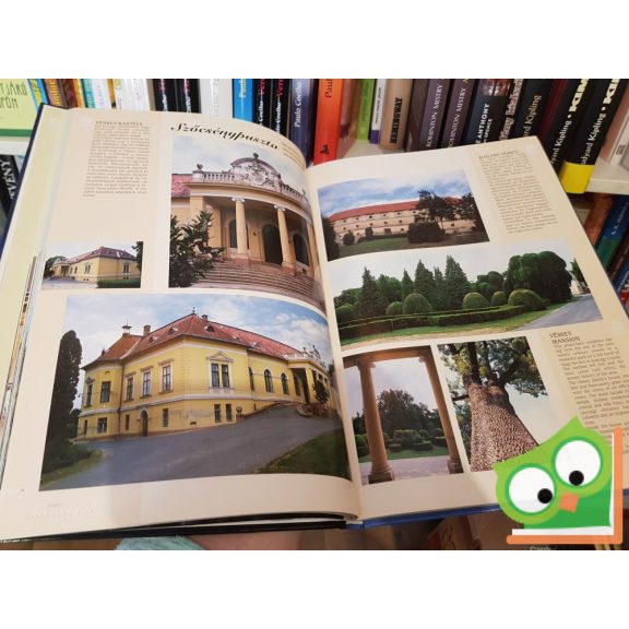 Bagyinszki Zoltán: Magyar ​kastélyok