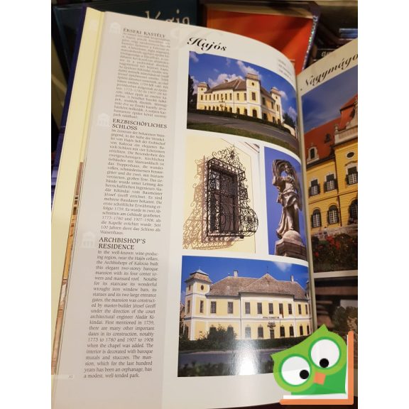 Bagyinszki Zoltán: Magyar kastélyok