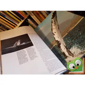 Cafiero, G.-Jahoda, M.: Bálnák és delfinek