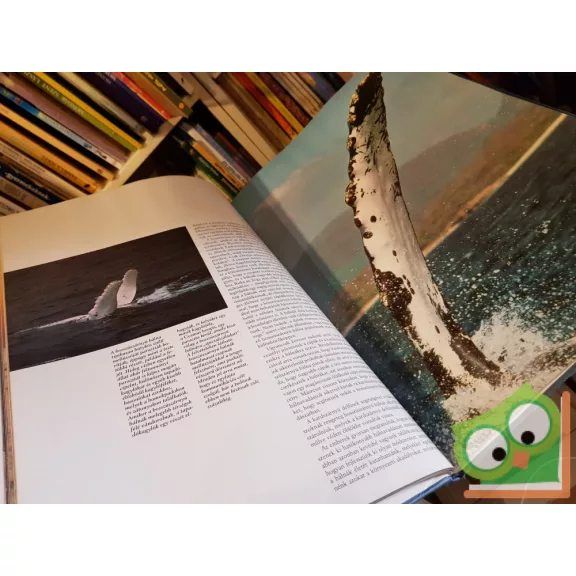 Cafiero, G.-Jahoda, M.: Bálnák és delfinek