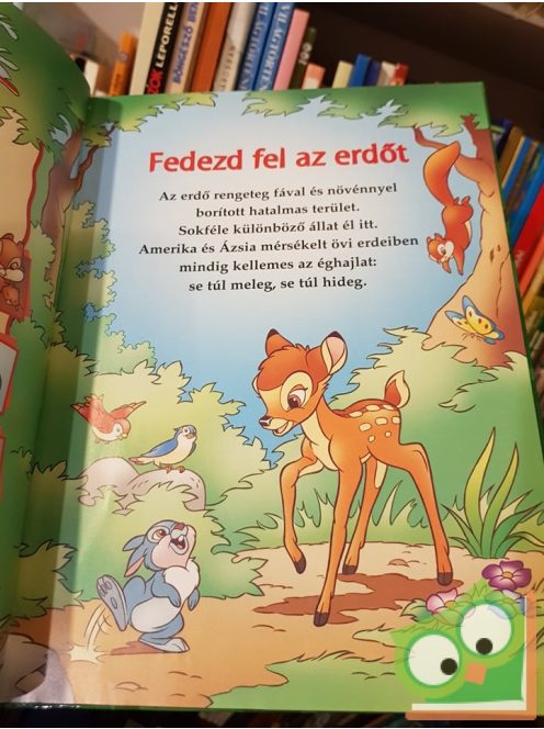 Walt Disney – Bambi és az erdőben élő állatok