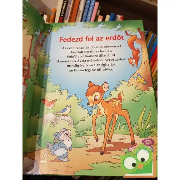 Walt Disney – Bambi és az erdőben élő állatok