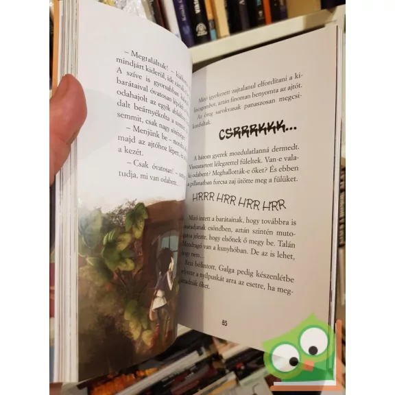 Ana Galán: Mondragó 4. A banjánfa