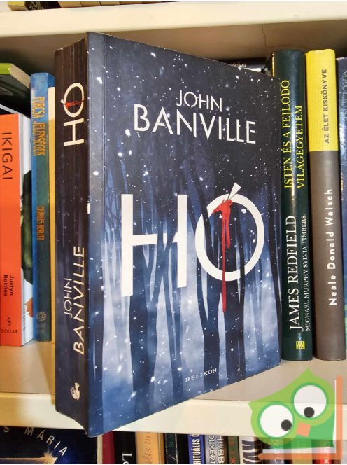 John Banville: Hó