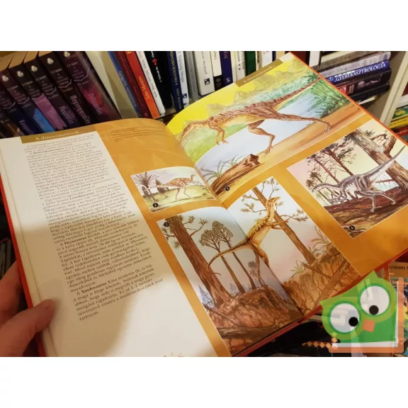 Varga Tamás: Barangolás az őslények világában