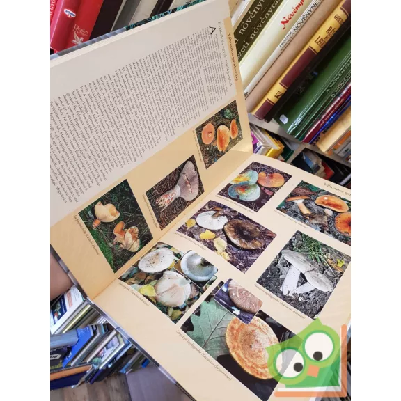 Farkas, Kecskés - Barangolás a gombák világában (ritka)