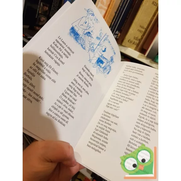 Szabó Magda: Bárány Boldizsár