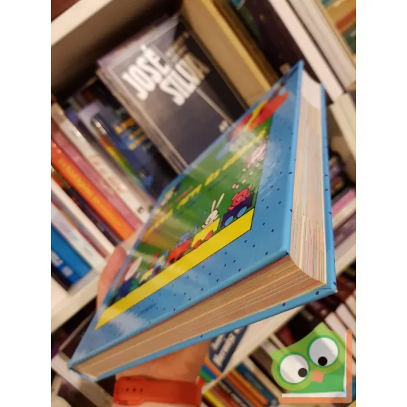 Bartos Erika: Gergőkönyv ​– Legkisebbek könyve (Anna, Peti és Gergő 11.) (Ritka)