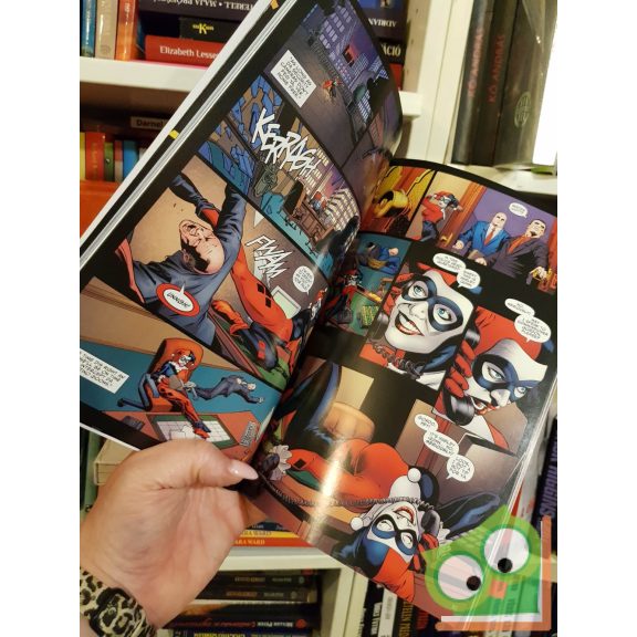 Paul Dini: Batman: Harley Quinn