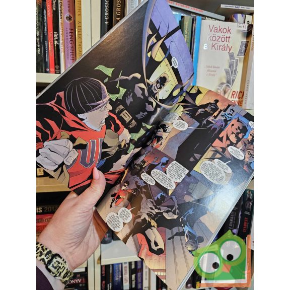 Paul Dini: Batman: Hush szíve (Batman: Hush 3.) (nagyon ritka)