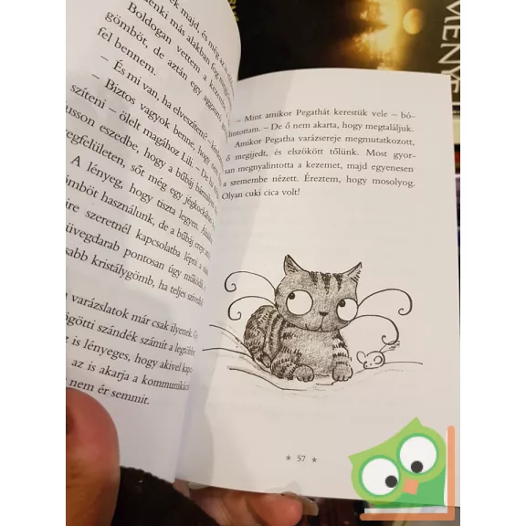 Ruth Symes: Bella Donna - A boszitábor  (Bella Donna 5.)