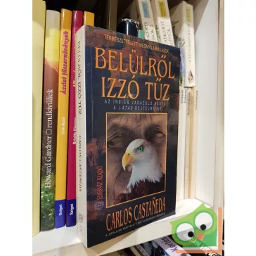   Carlos Castaneda: Belülről izzó tűz (Don Juan tanításai 7.)