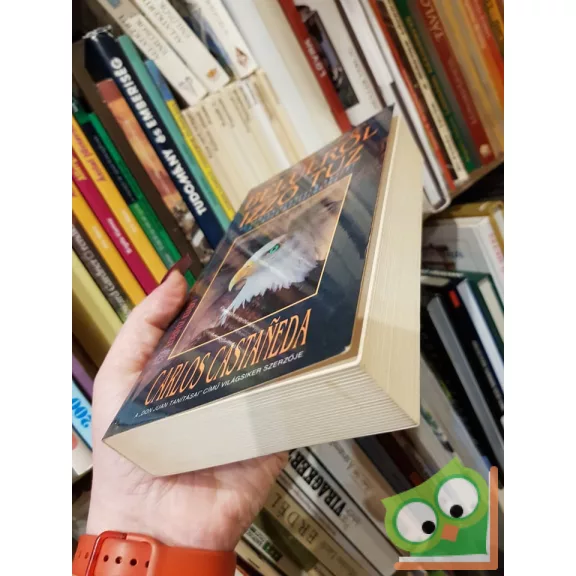 Carlos Castaneda: Belülről izzó tűz (Don Juan tanításai 7.)