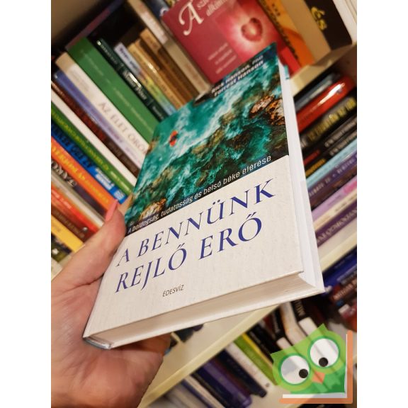 Rick Hanson, Forrest Hanson: A bennünk rejlő erő