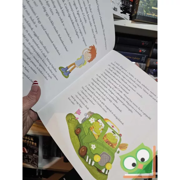 Berg Judit: Tündér biciklin (Panka és Csiribí 2.)