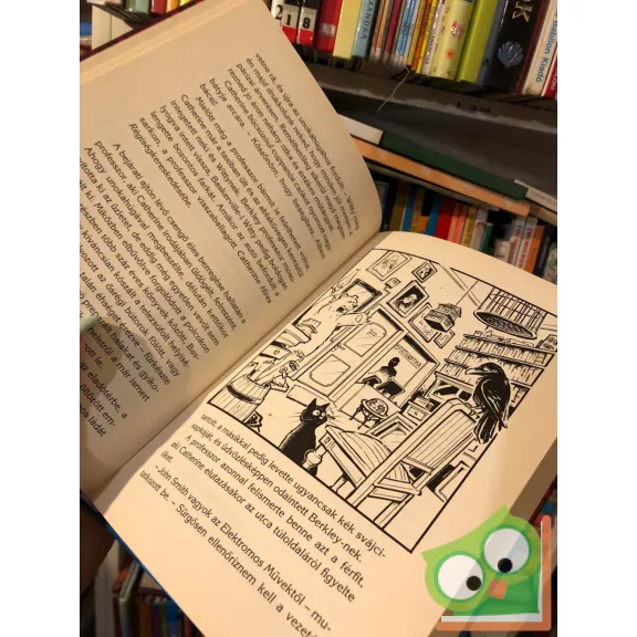 Corinna Harder, Jens Schumacher: Berkley professzor és a londoni köd (Berkley professzor 2.) (ifjúsági krimi)