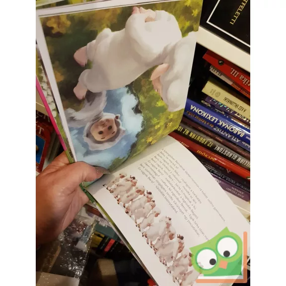 Goda Krisztina: Berti, a rózsaszín barika