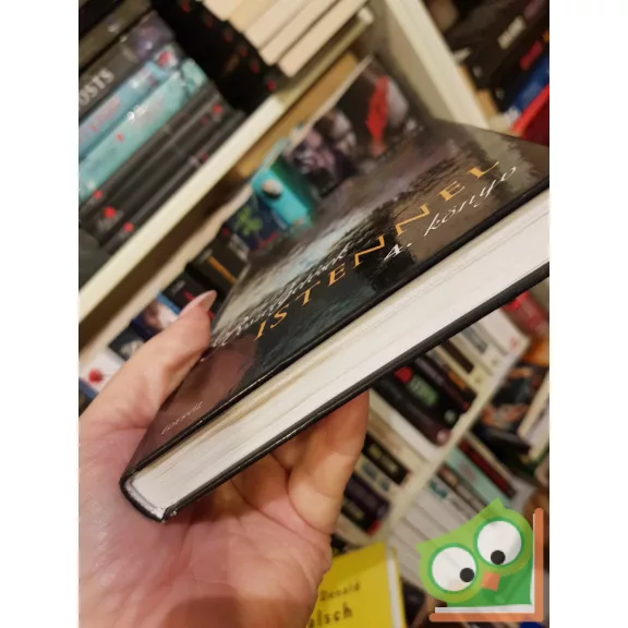 Neale Donald Walsch: Beszélgetések Istennel IV. (nagyon ritka)