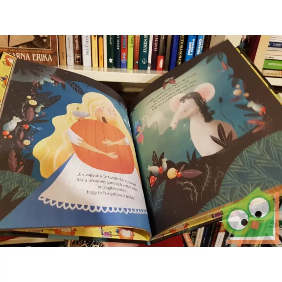 Emily Bevens: Hamupipőke (Kedvenc klasszikus meséim)