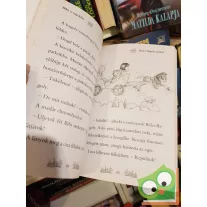   Daisy Meadows: Bibi, a nap hőse (Varázslatos Állatbirodalom különkiadás 4.)