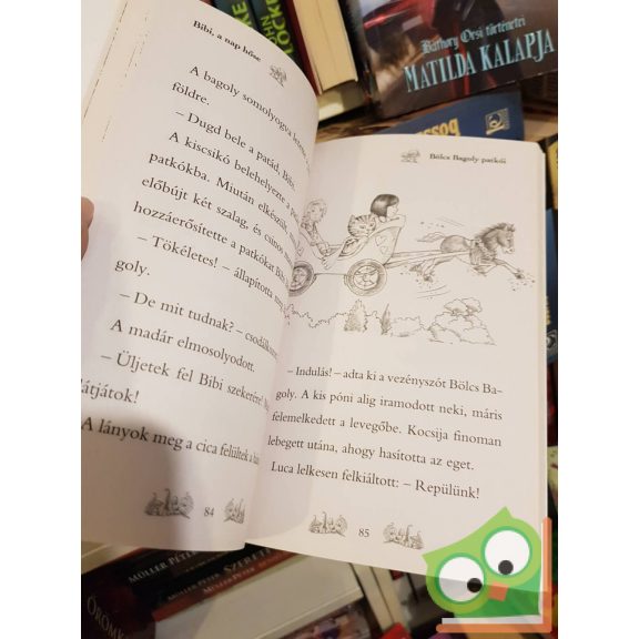 Daisy Meadows: Bibi, a nap hőse (Varázslatos Állatbirodalom különkiadás 4.)