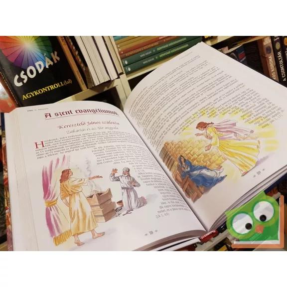 Campos Jiménez Mária (szerk.): Biblia gyermekeknek