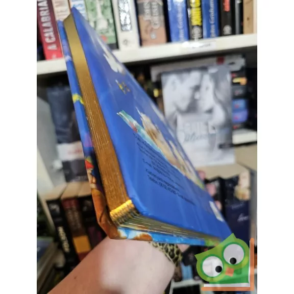 Bibliai ​történetek (Élfestett)
