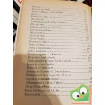 Nemere Ilona: Bibliai történetek gyerekeknek