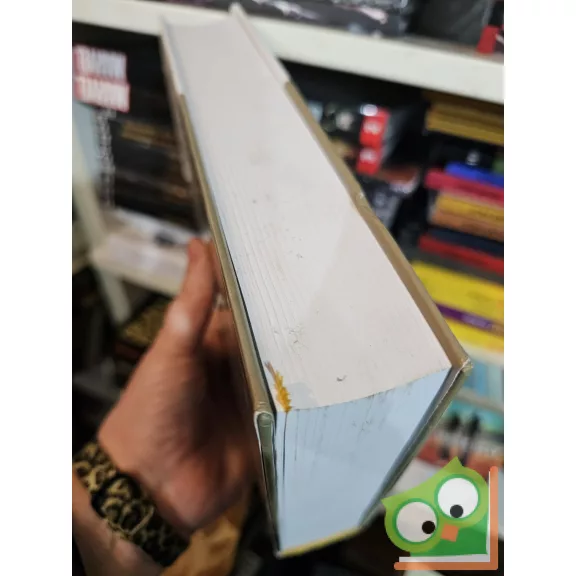 Bibó István összegyűjtött írásai 2.