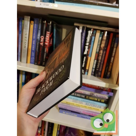 Anne Rice: Blackwood farm (Vámpírkrónikák 9.) (Nagyon ritka)