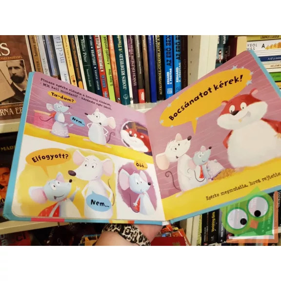 Emily Bruce: Bocsánat (Keménylapos)