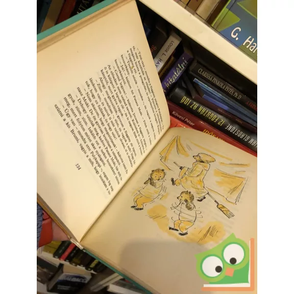 Bodó Béla: Brumi az iskolában