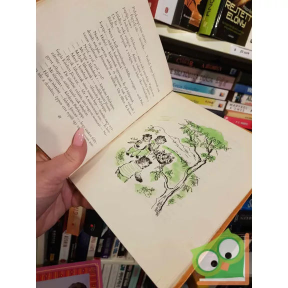 Bodó Béla: Brumi újabb kalandjai (Brumi 2.)