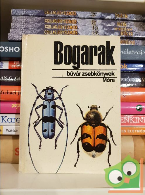 Endrődi Sebő: Bogarak (Búvár zsebkönyvek)