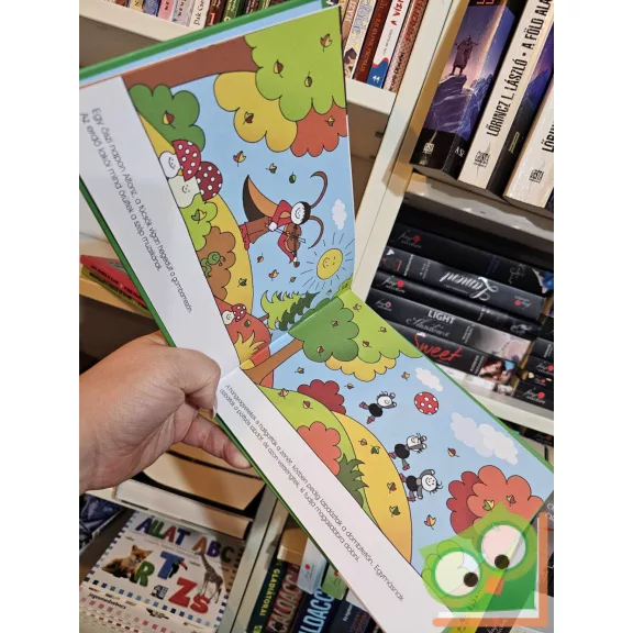 Bartos Erika: Bogyó és Babóca zenél (Bogyó és Babóca 7.)