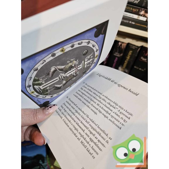 Böjte Csaba: A szeretet gyógyszer, nem jutalom (újszerű)