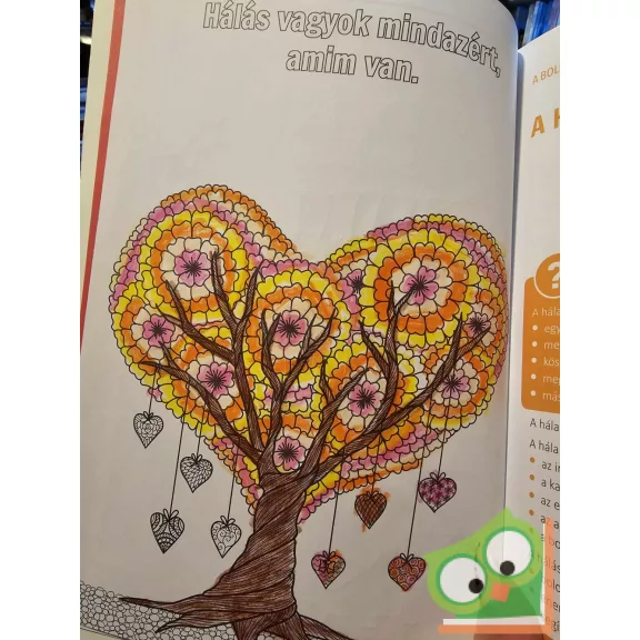 Bagdi Bella, Bagdy Emőke, Dobrova Zita: Boldogságóra – 6-10 éveseknek, plusz munkafüzet (ritka)