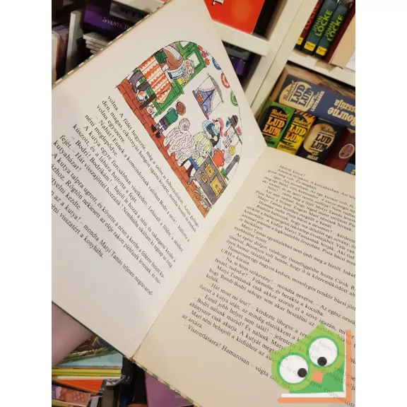 Szepes Mária: Bolondos szerszámok  (Pöttyös Panni 8.)