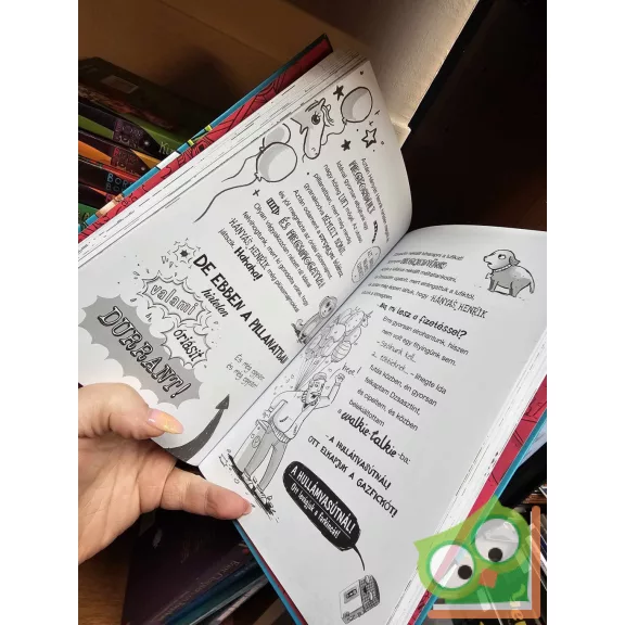 Ulrike Rylance: Vészhelyzet a hullámvasúton (Bors Bori 2.) (ritka)