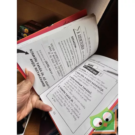 Ulrike Rylance: Káosz a suliban (Bors Bori 3.) (ritka)